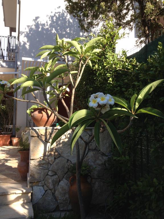Il Giardino Dei Limoni Bed & Breakfast Aci Castello Bagian luar foto