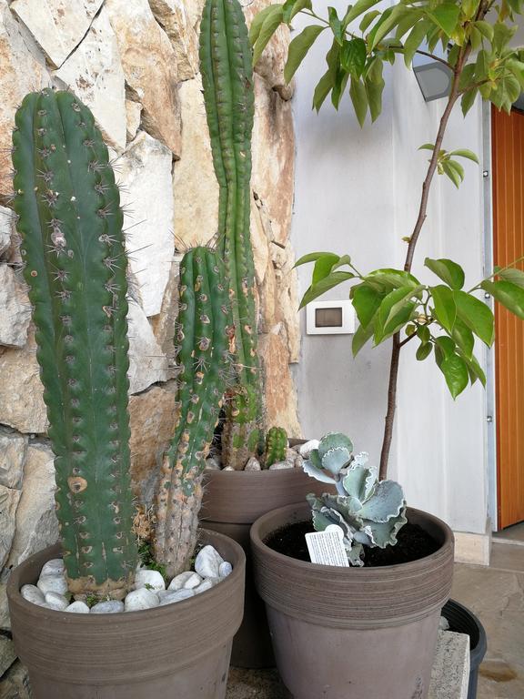 Il Giardino Dei Limoni Bed & Breakfast Aci Castello Bagian luar foto