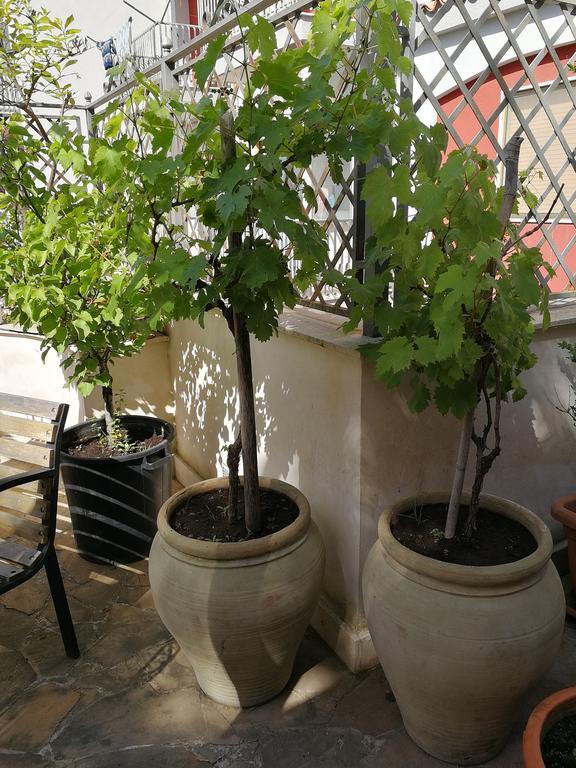 Il Giardino Dei Limoni Bed & Breakfast Aci Castello Bagian luar foto